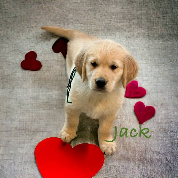 Photoroom 20240111 192304